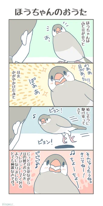 換羽以来、ごきげんなほうちゃんです。

#buncho #javasparrow #文鳥 