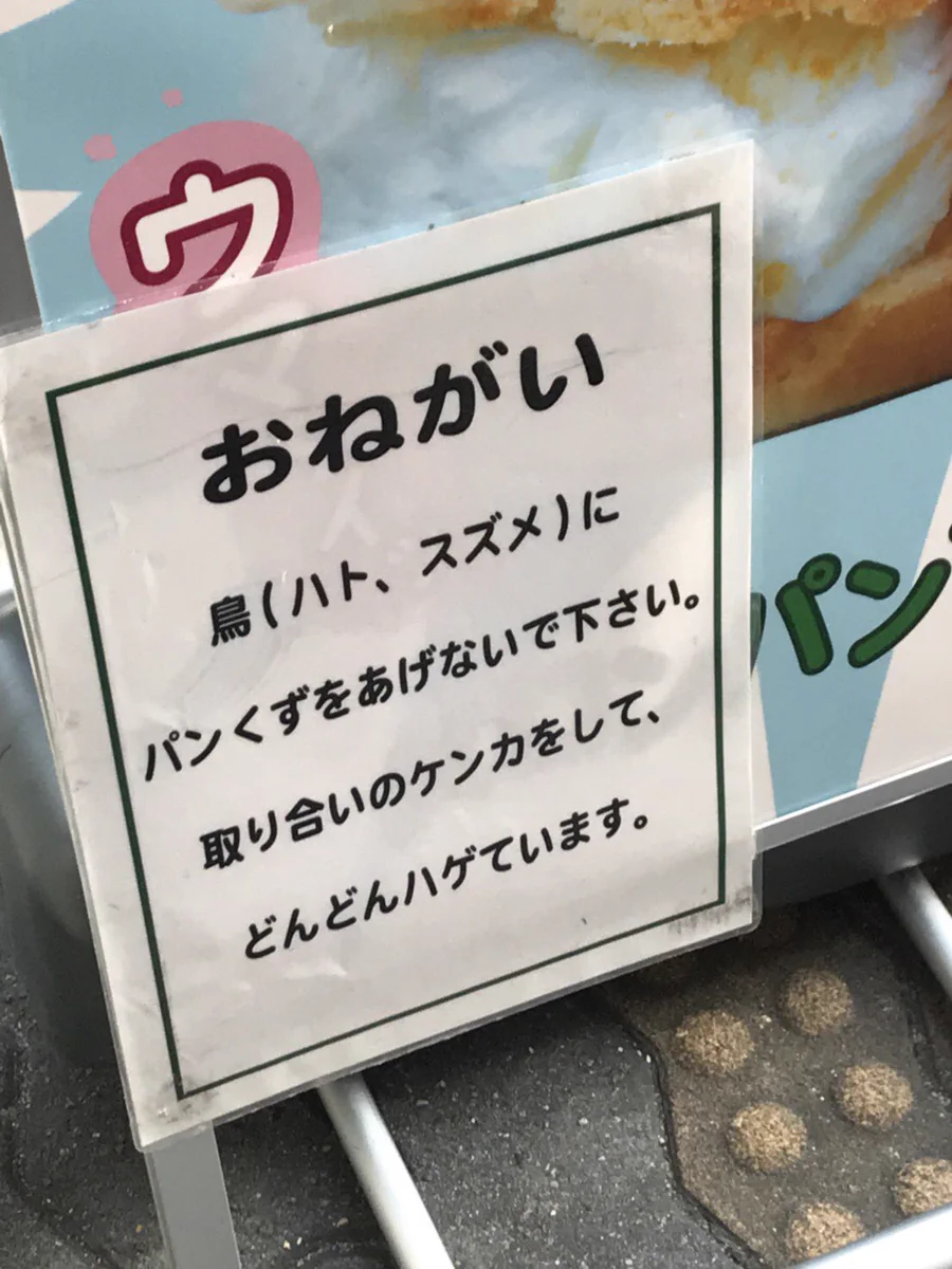 単純に可愛くなくなるからねｗ鳥にエサをあげる人への優しい諭し方ｗｗｗ