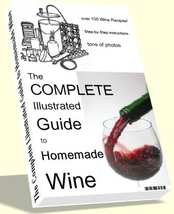 Discover the Secrets of Expert Home #Wine Makers bit.ly/1TOTKaq #vino #winelovers #winelover #wineoclock
