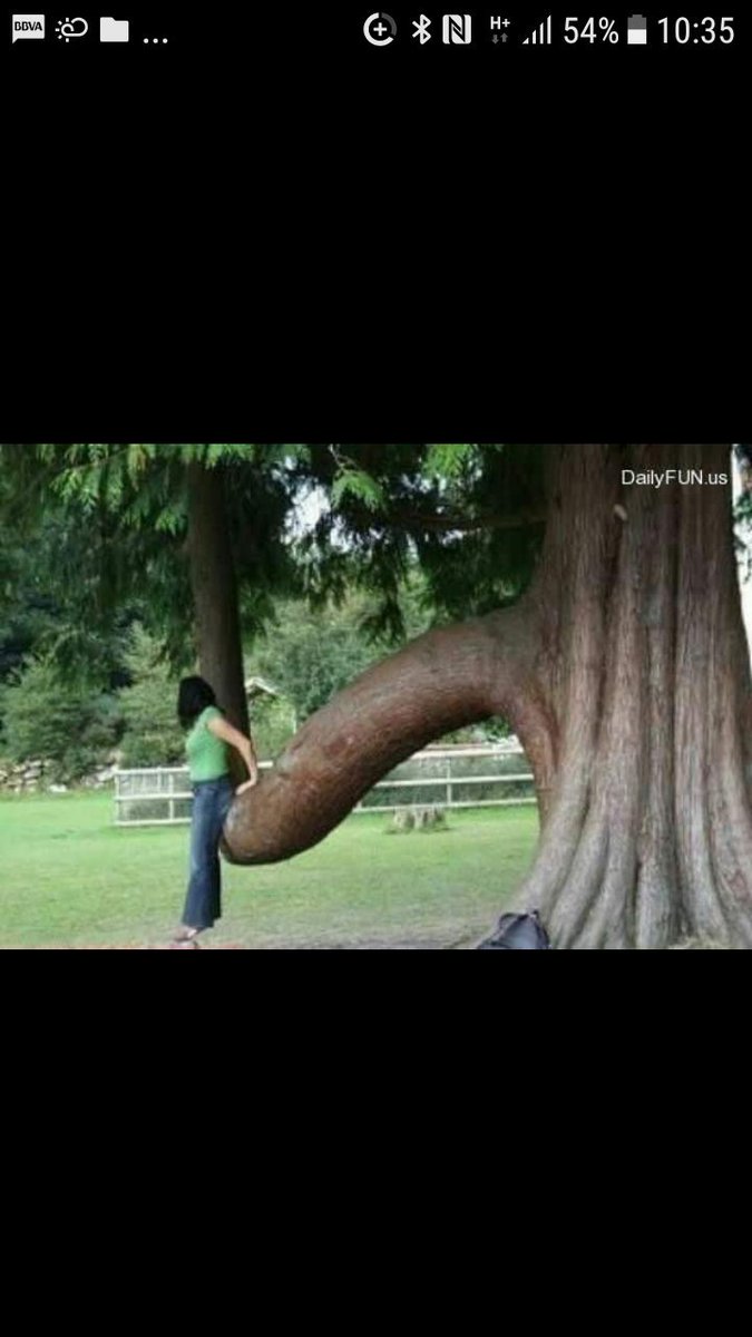 Bon dia nois i noies ! 
Aquet cap de setmana tenim la inauguració del nou parc..molta festa i xerinola..🤸‍♂️🤸‍♂️🤸‍♂️🤸‍♂️💡💡💡🥂🥂🥂