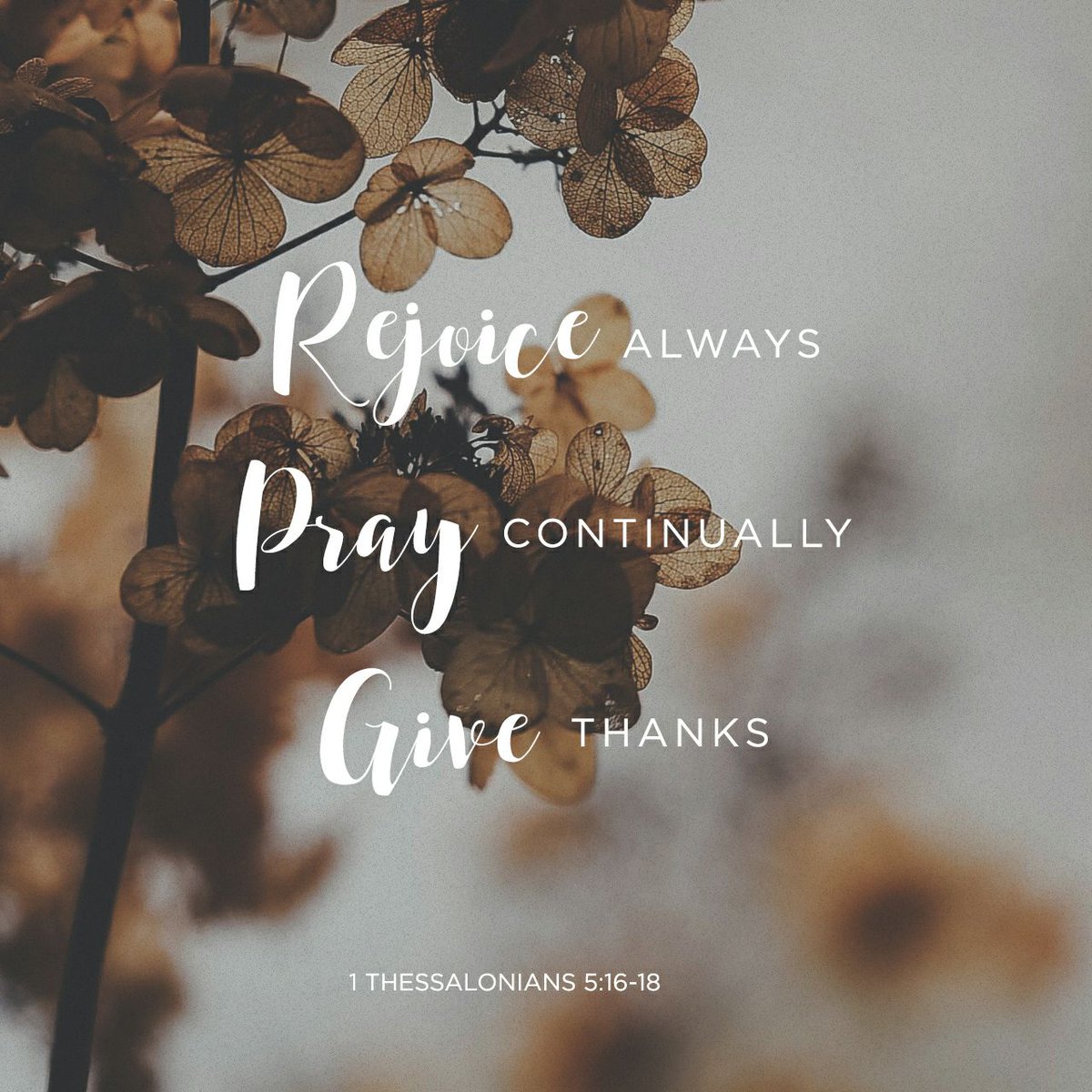 Matthew25impact's tweet photo. Be joyful always, pray at all times, be thankful in all circumstances. This is what God wants f…
https://t.co/gmoGgTLeNf https://t.co/pr2UlT0XZX