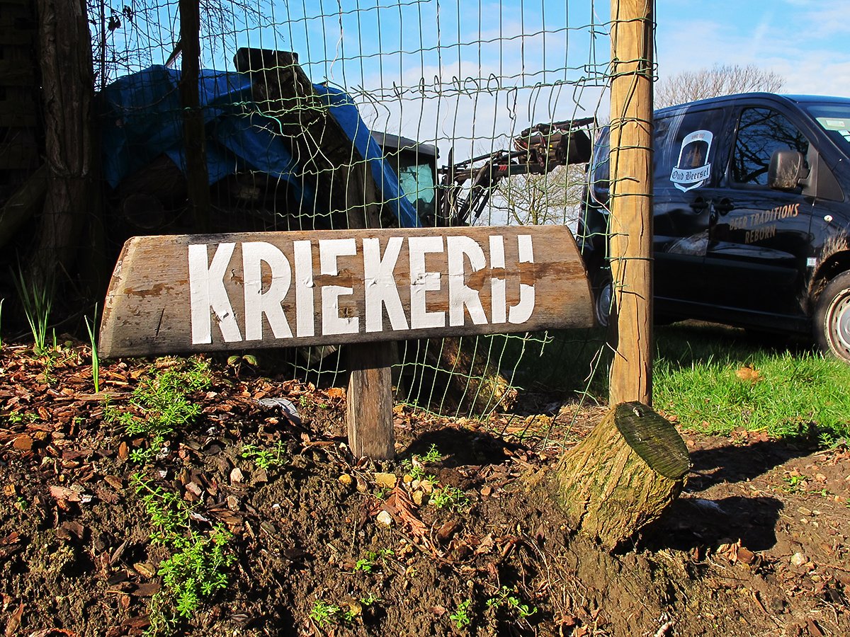 45 new Schaarbeekse Cherry trees planted!