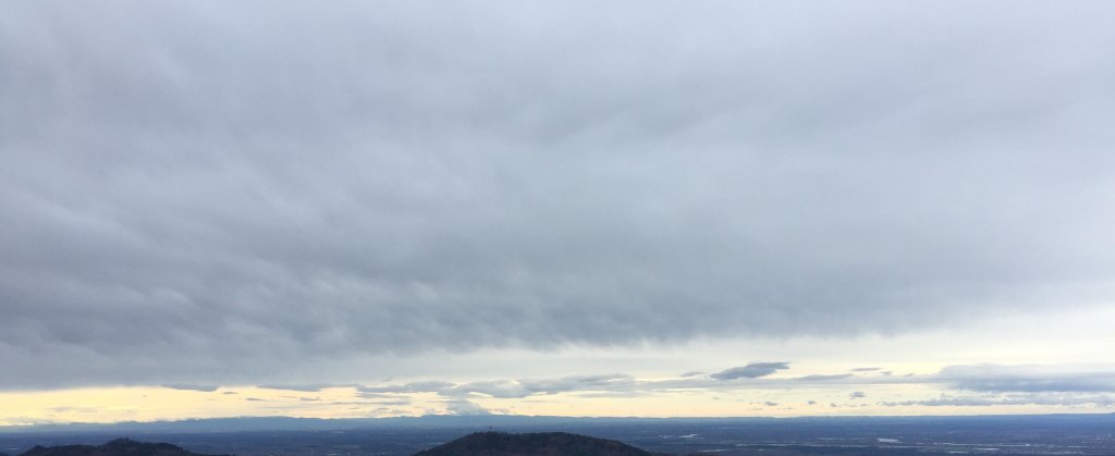 evocamus's tweet photo. Allianz im Treibhaus: Ende des C02-Investments https://t.co/oAPqQdVJsT https://t.co/th0ZFK49kw