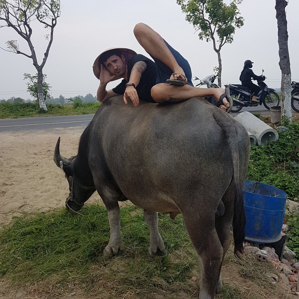 hillis7's tweet photo. How to chill in Vietnam https://t.co/trkXTqfjQf