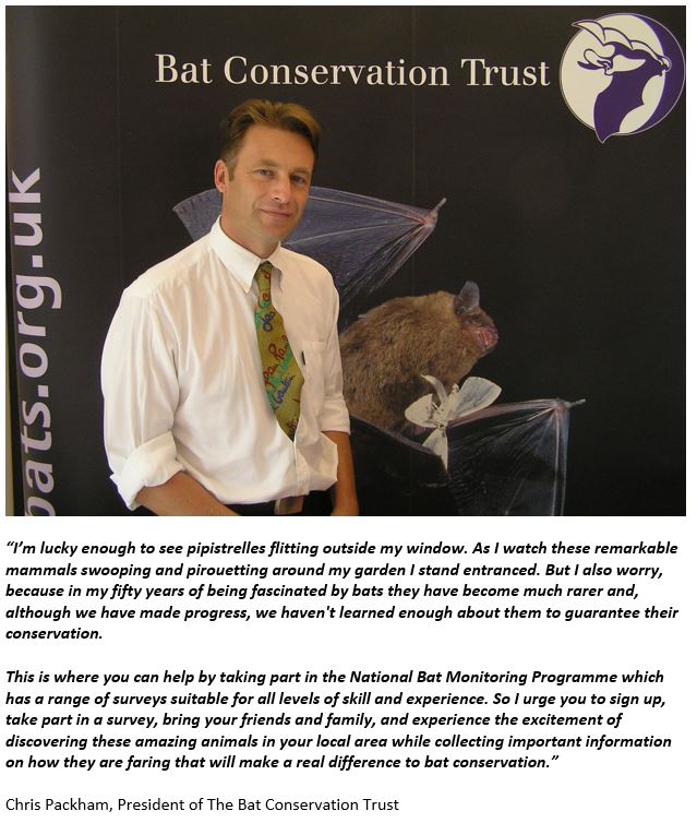 _BCT_'s tweet photo. Get involved in monitoring bats in your area by becoming a citizen scientist with the National Bat Monitoring Programme @BCT_NBMP Lots of benefits from joining in - find a survey to suit you https://t.co/K05ka9w75A https://t.co/uS55OKYfY3