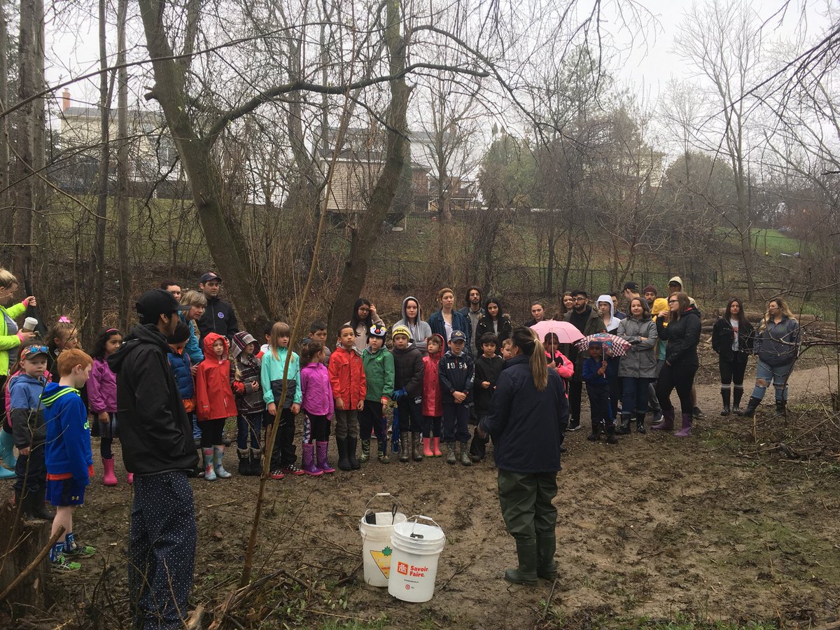 bucknleaf's tweet image. Releasing #Atlantic #salmon in the #Humber #River @BoltonCamp with Monica from @OntarioStreams and our elementary #friends from @JBoltonps @ofah @PeelSchools