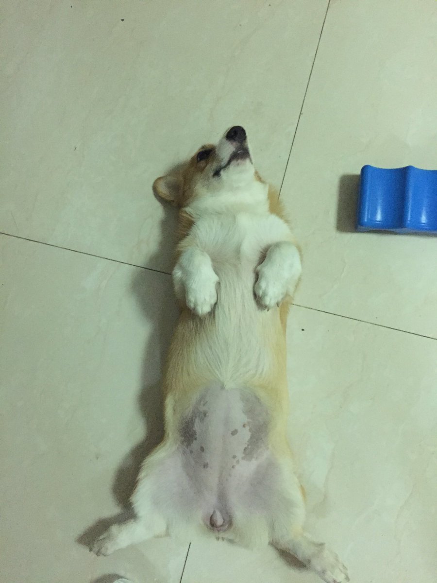 น้องหนอน tweet media