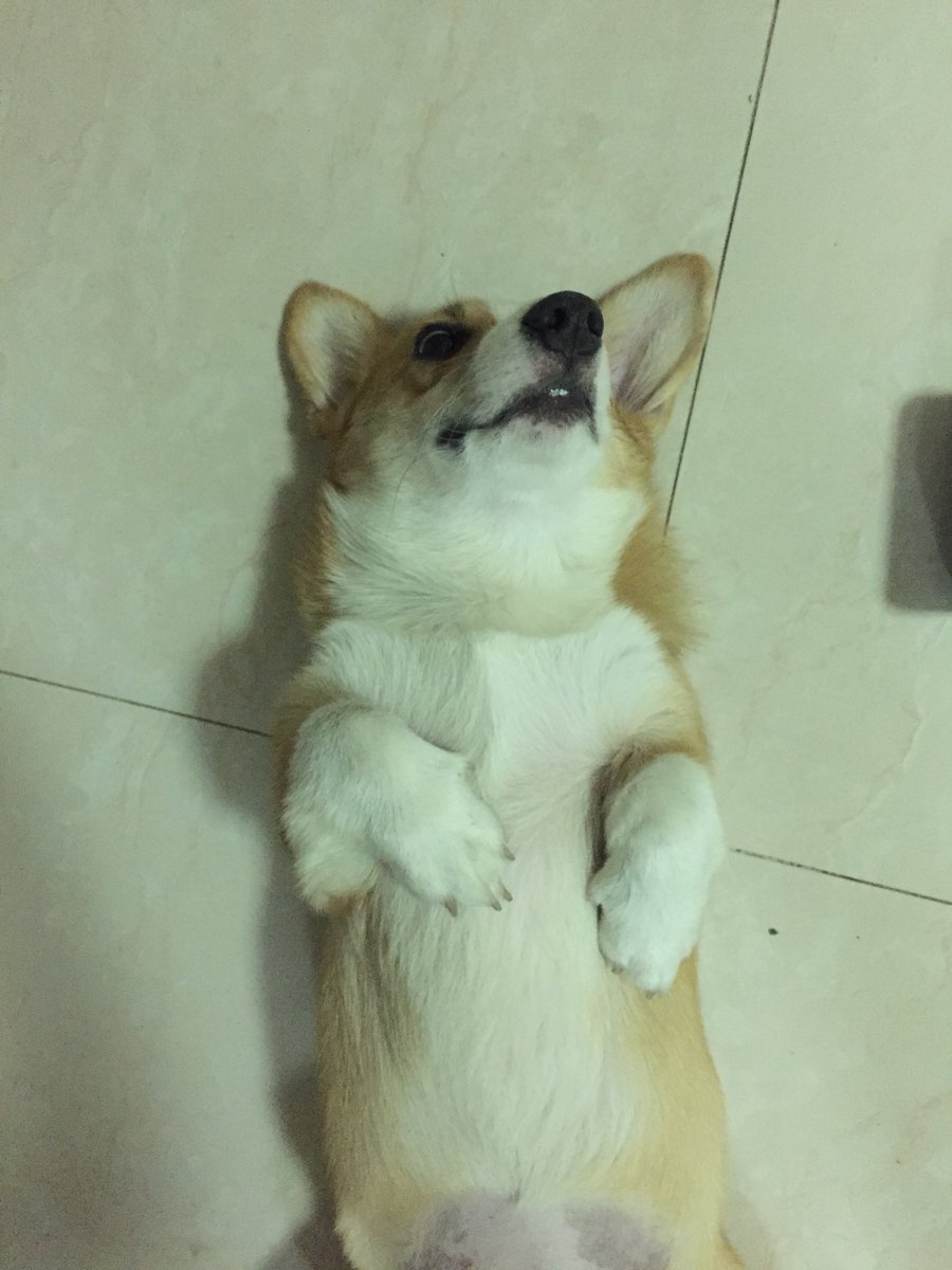 น้องหนอน tweet media