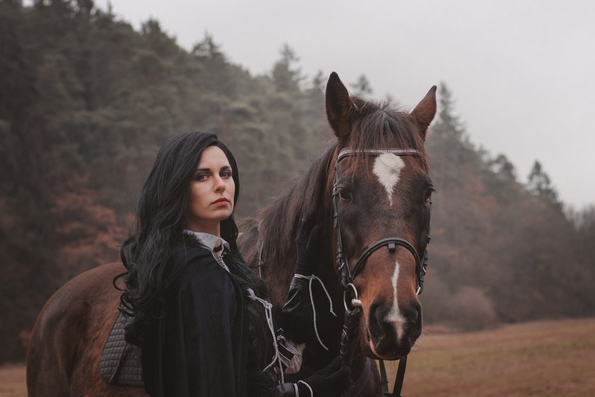 witcher 3 lonely ruin witcher 3 lonely ruin
