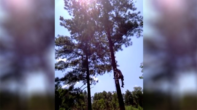 killsometime's tweet photo. Man Falls 50 Feet Out of Tree https://t.co/eujeFtAuUp https://t.co/VsmRIj2PMv