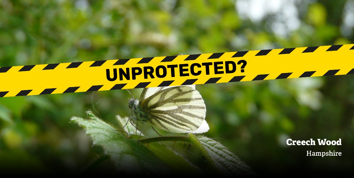 WildlifeTrusts's tweet image. ALERT: 42,000 Local Wildlife Sites in England are at risk of losing their policy protection in new draft planning rules. This is a huge concern. Please ask the government to reverse this decision: wtru.st/saveLWS  #UnprotectedSites #ActSwiftly