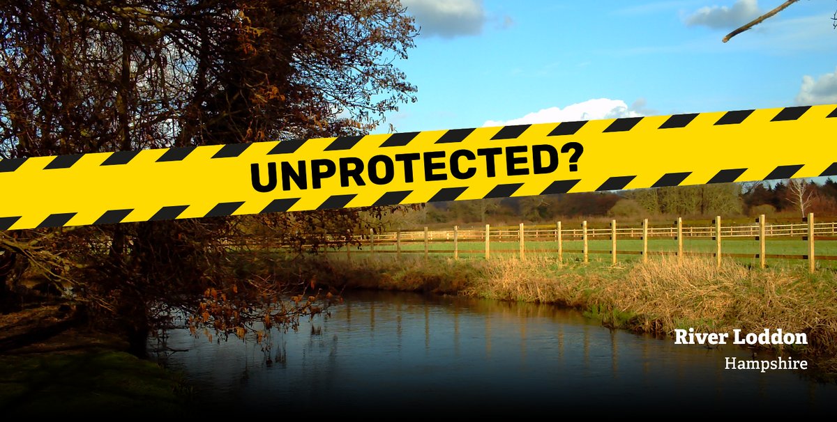 WildlifeTrusts's tweet image. ALERT: 42,000 Local Wildlife Sites in England are at risk of losing their policy protection in new draft planning rules. This is a huge concern. Please ask the government to reverse this decision: wtru.st/saveLWS  #UnprotectedSites #ActSwiftly