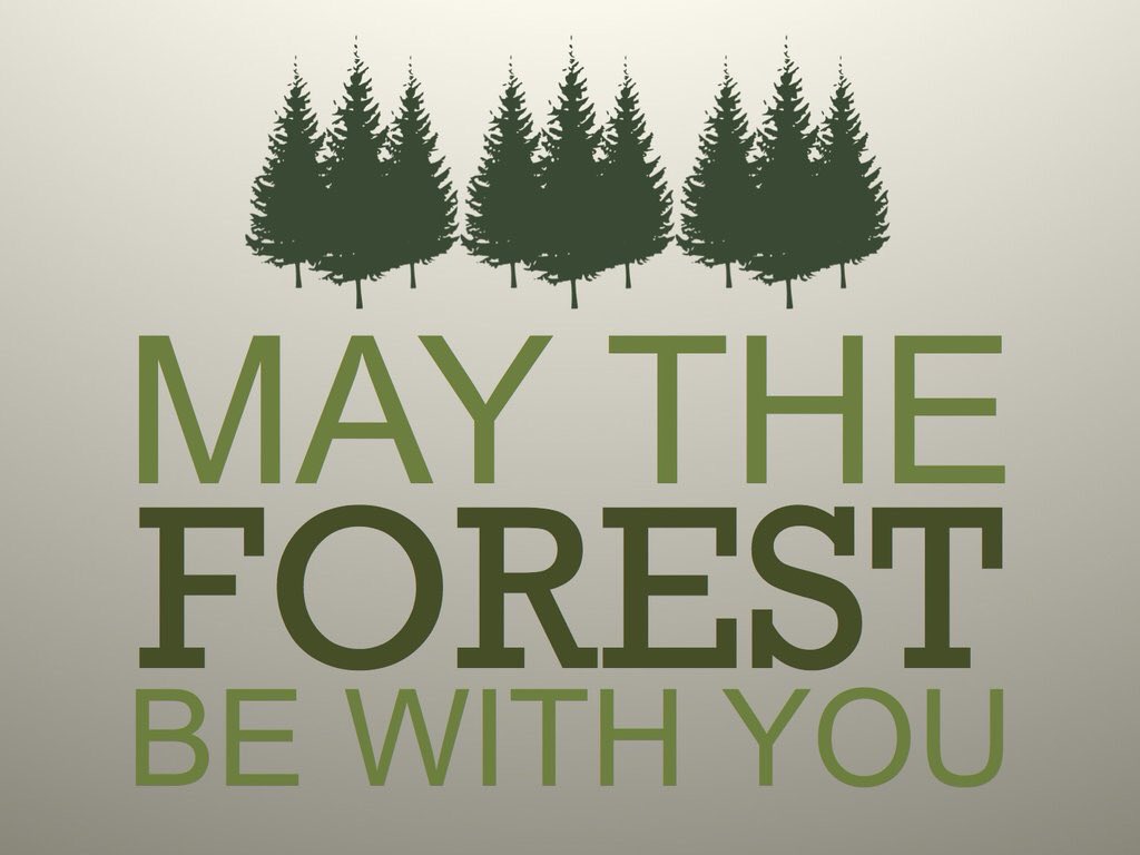 #MayThe4thBeWithYou