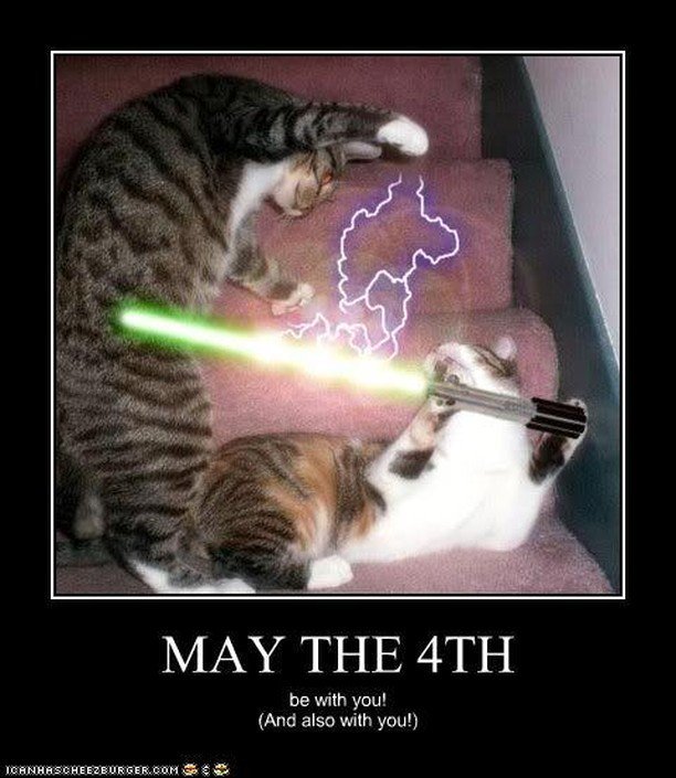 CityHumane's tweet photo. Happy May the 4th!
#maytheforth #maythe4th #maytheforcebewithyou #starwars #cat #cats #icanhascheezburger #catmemes #catmeme #petmeme #cathumor https://t.co/RiFYK00vCa https://t.co/T73gPbxOQB