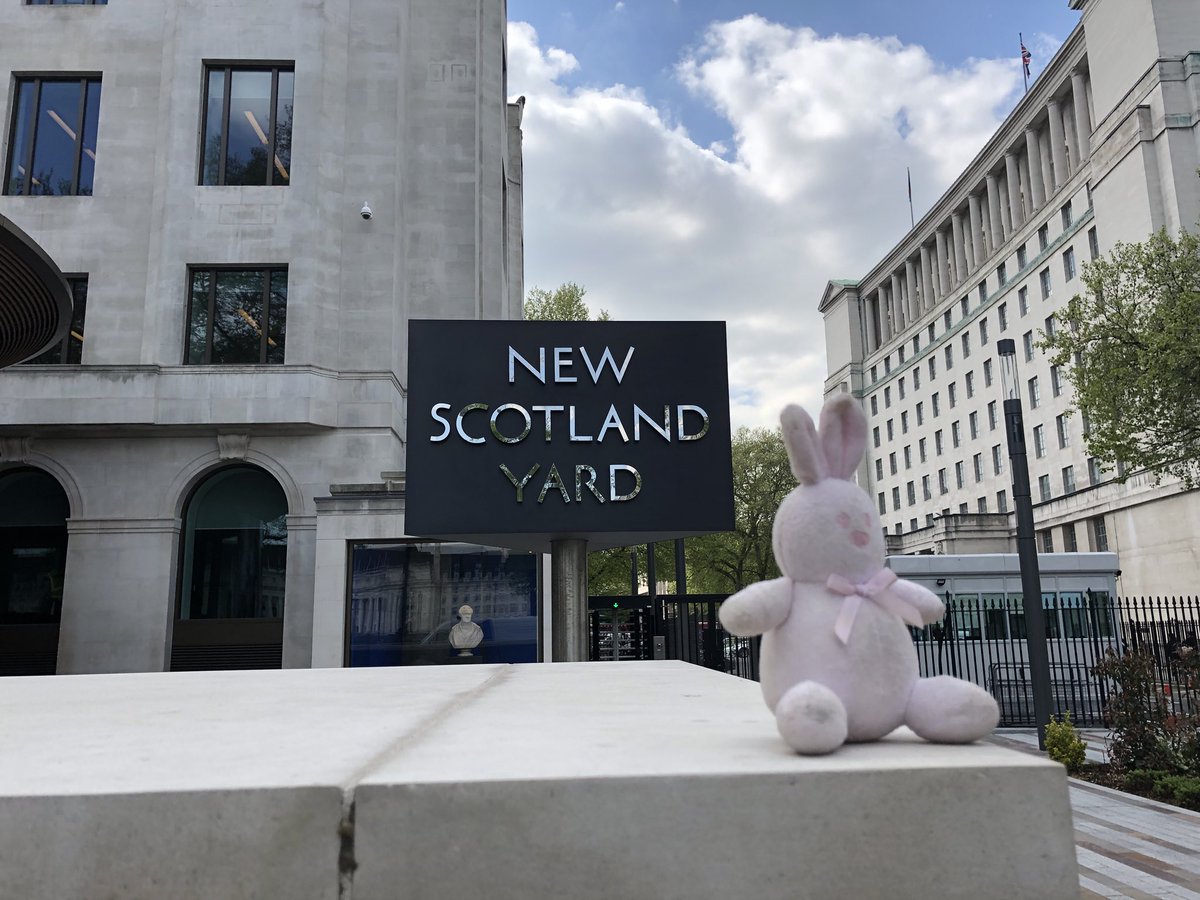 Smarty_Rabbit's tweet photo. There’s a new bunny on the beat.
#SmartyRabbit https://t.co/fOczibnxZZ