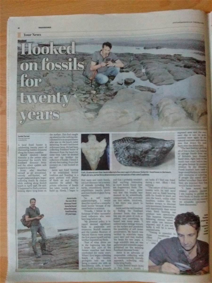 Collector140mya's tweet image. Hooked on #fossils! My story in my local newspaper - celebrating 20 years #fossil hunting. #fossilcollecting #davidattenborough #naturalengland #fossilhunting #minerals #gems #kidsstuff #coolstuff #funstuff #news #newsdesk #tourism #MaryAnning #Iguanodon