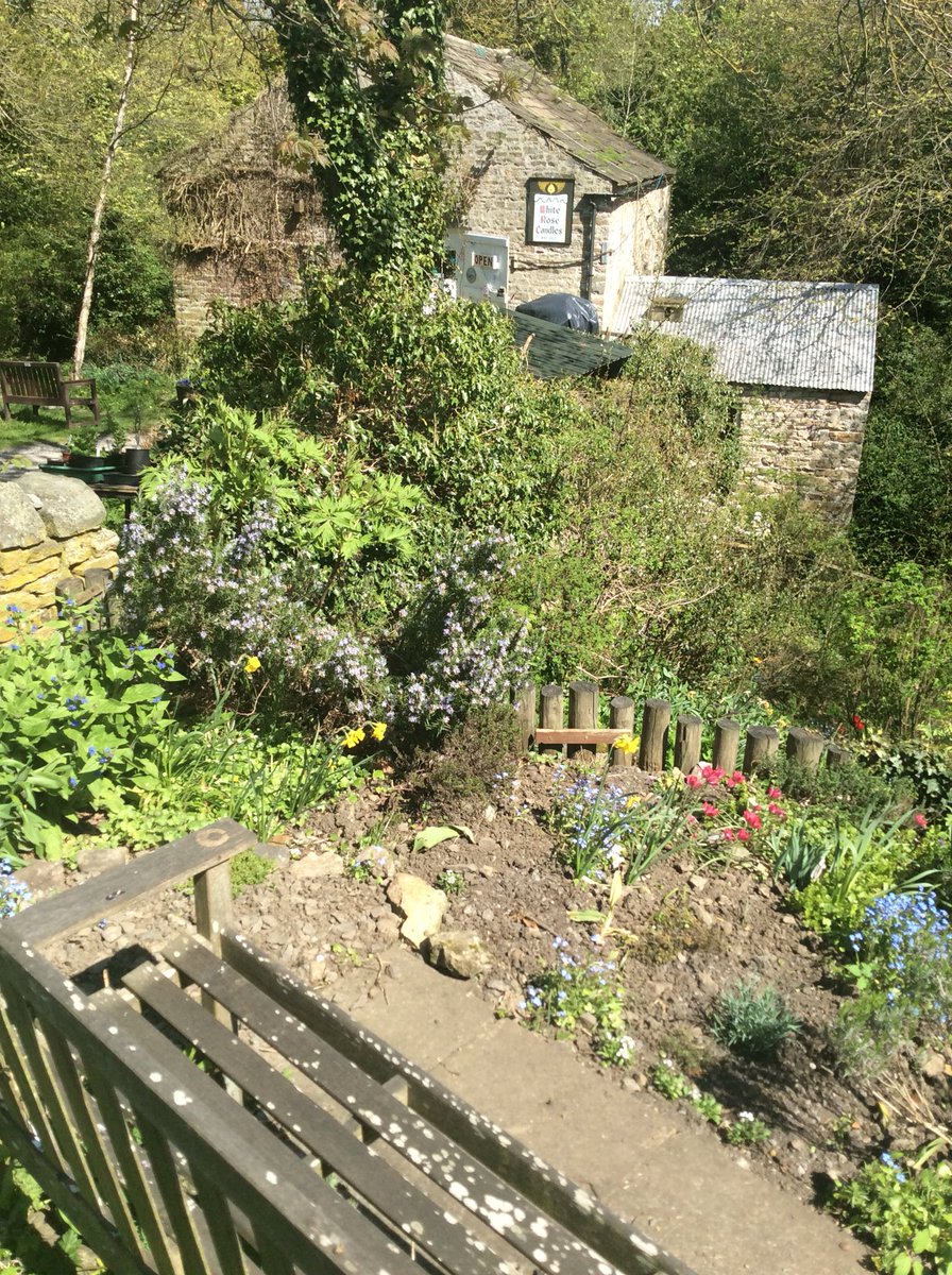 White Rose Candles (@rosecandles) on Twitter photo 