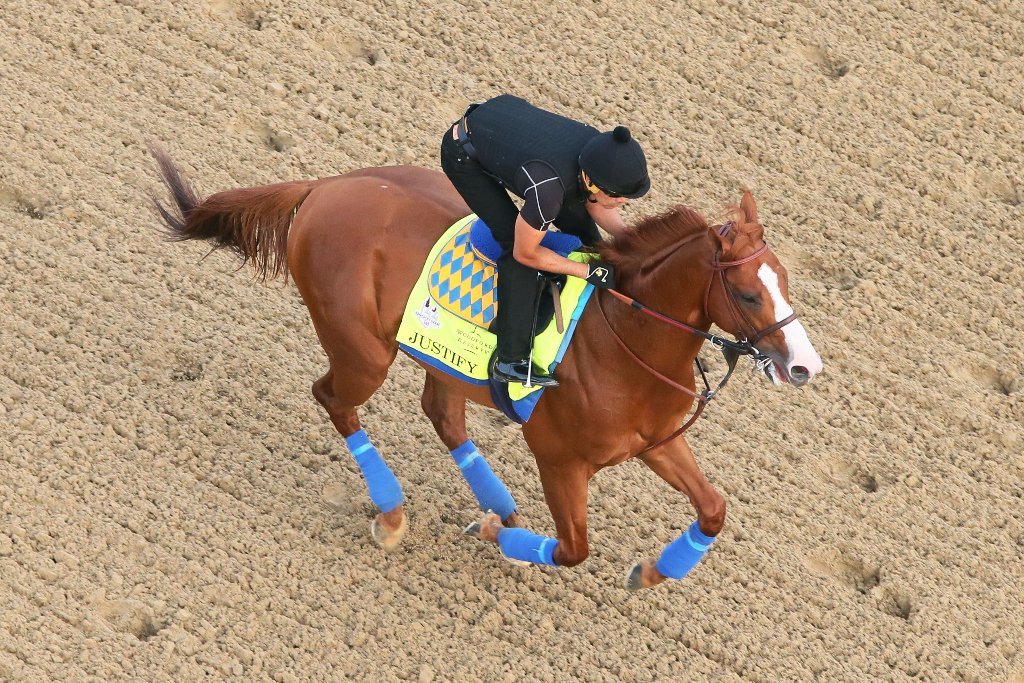 Secretariatprmr's tweet photo. Seventeen of the 20 #KentuckyDerby contenders are descendants of #Secretariat, including the favorite chestnut #Justify. And #LoneSailor has a quadruple dose of Big Red's bloodline. Photo courtesy of Churchill Downs. 🌹 #Secretariat45 https://t.co/V3AkzULN8x