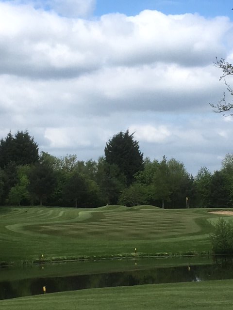 DIndigrow's tweet photo. @Mill_Ride giving our chelated Fe (Fusion Fe) a go. Looking great Drew and team!! @indigrowuk
#ironchelate #qualitytrack https://t.co/ni9ALNmPVJ