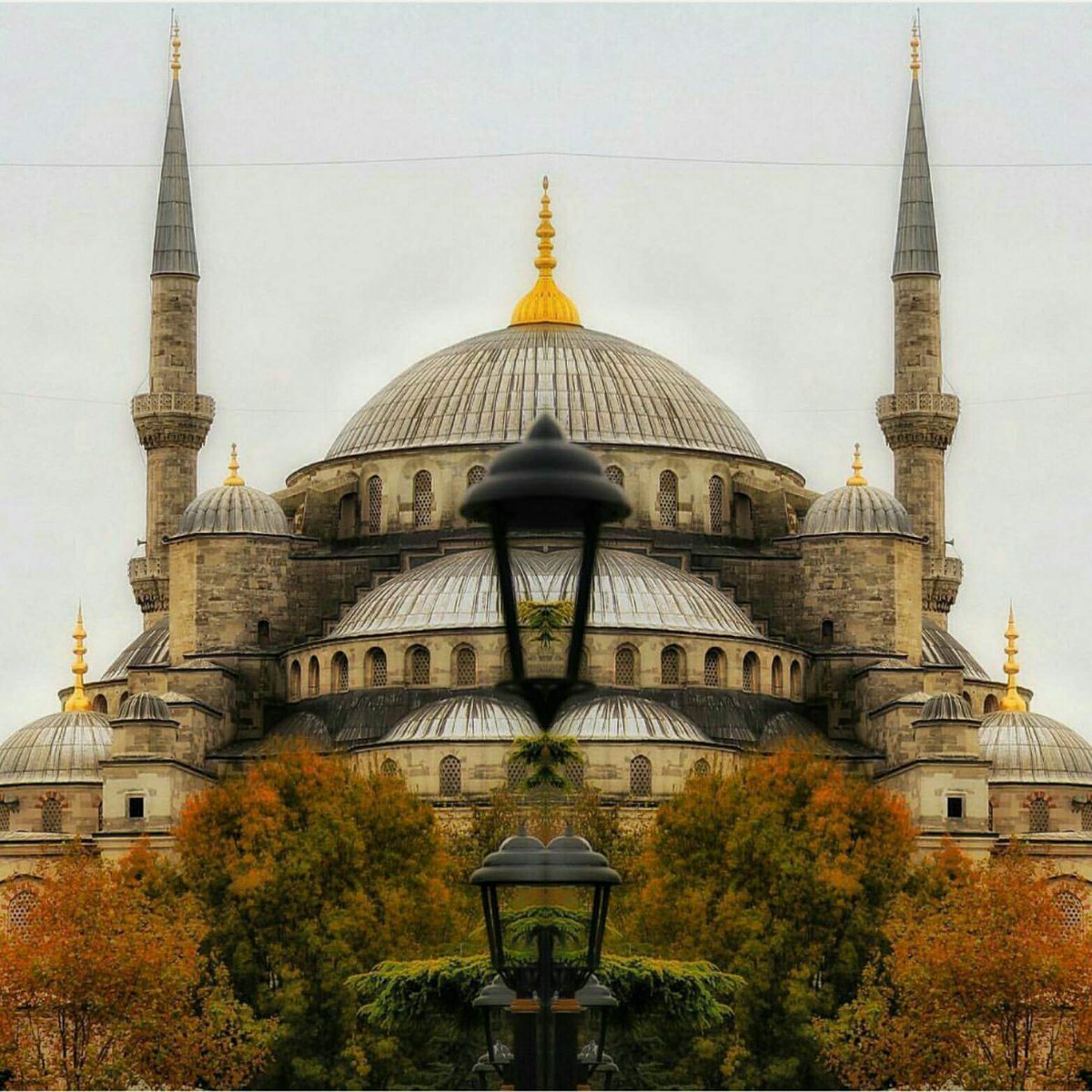 abather474 tweet picture