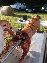 Need a hog roast or local game. Try <a href="/KieronGame/">Kieron's Game</a>
kfma.org.uk/KieronsGame