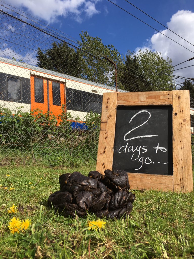 KTCityFarm's tweet photo. Today's #MayDay event countdown is brought to U by the number two (credit Shirley Cow). Click here 4 deets &amp; PLS RT https://t.co/DfCIUXBAlD #FridayFeeIing #BankHolidayWeekend #WhatsOn #London #Camden #Fundraiser #Kidsactivities #familyfun #GetOutdoors #GetInvolved #HashtagOveruse https://t.co/A5UGiLR9mD