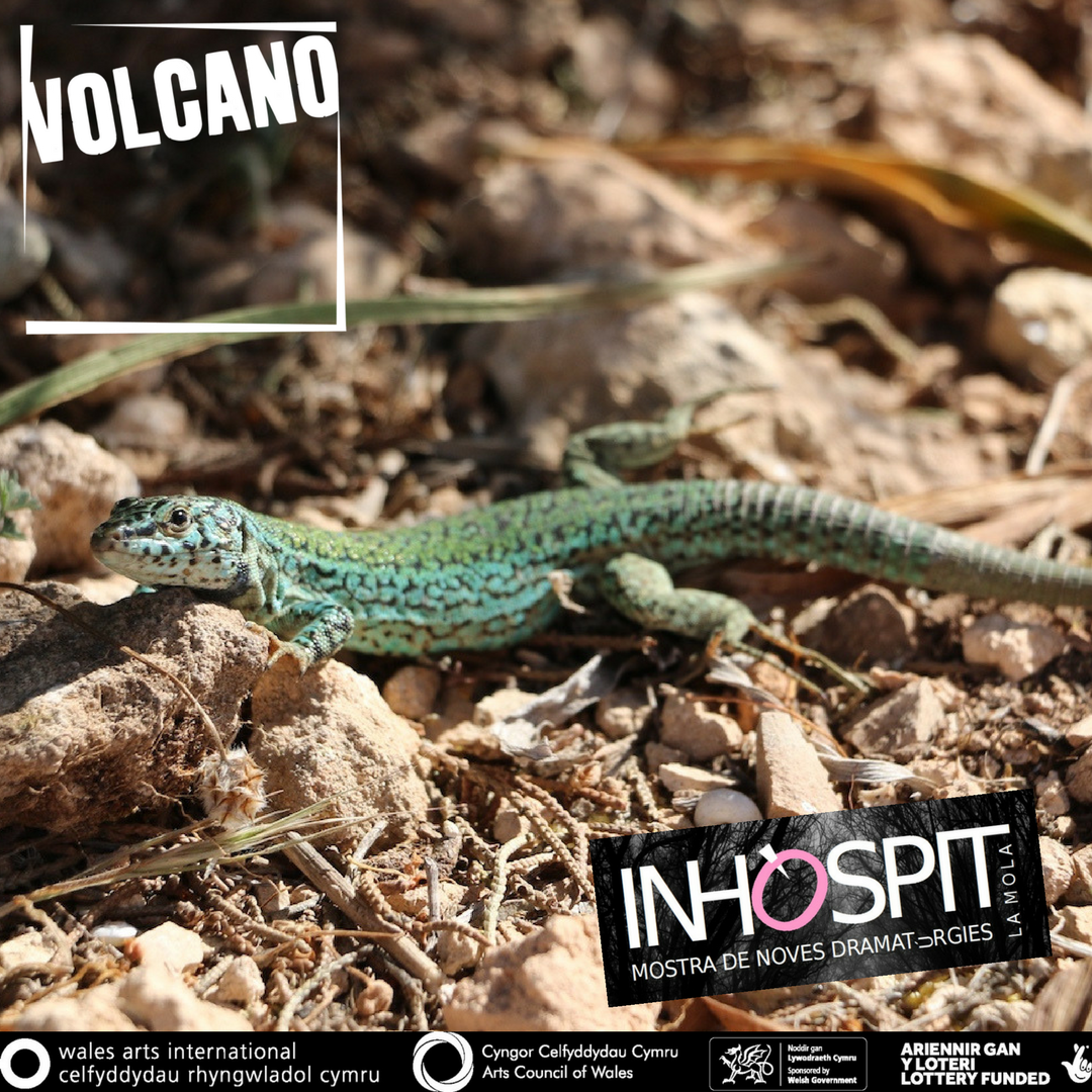 VolcanoUK's tweet photo. 3/3 The first day of the #Inhospit festival and Day 2 of rehearsals at the mill! @Arts_Wales_  @WAICymruWales @EspaiF https://t.co/7my1lRwK5G