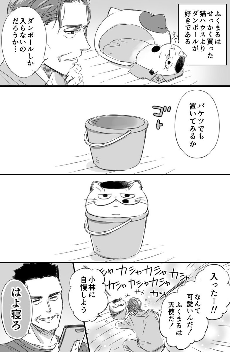 【おじさまと猫の番外編】　バケツと天使 