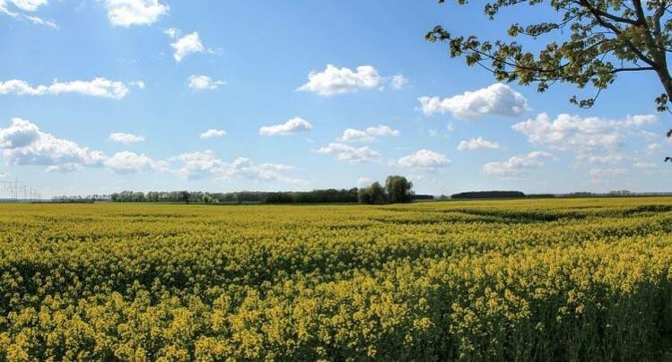 carnerossainfo's tweet photo. Il dott. Agostino Macrì esperto #COSNALA ci rivela come si sviluppa il #metano nell’#ambiente  ➡ https://t.co/rvhM6Ojg1N https://t.co/WLJ8vDKqrK