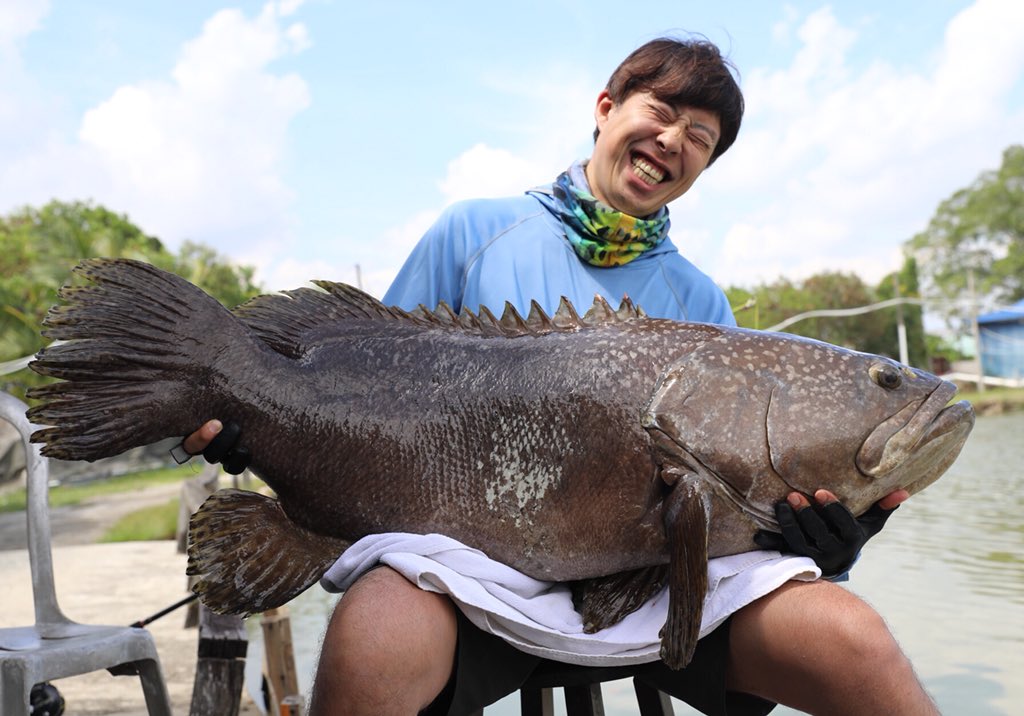 沖山朝俊 しげる ゴライアスグルーパーのポンドですが 凄過ぎたwww 今回は最大80 70kgまでが釣れた エサのアジを投入すると直ぐにヒット クアラルンプールから60kmくらいの所にあるので行く際は是非行ってみたら良いかも 気軽に巨大魚が釣れるよ