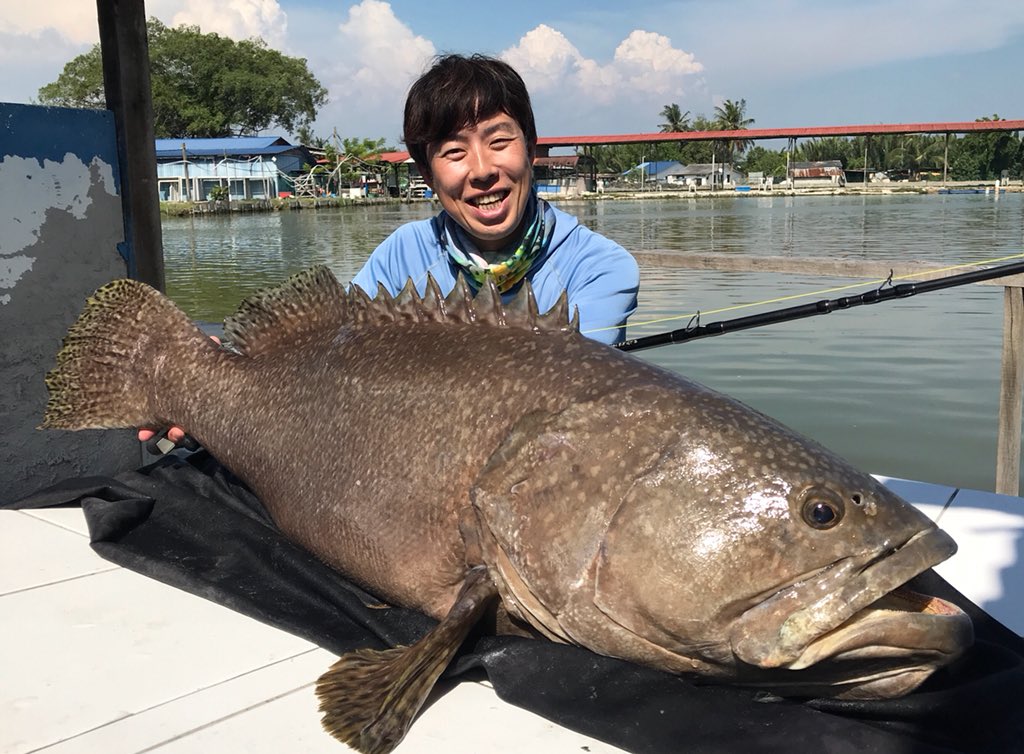 沖山朝俊 しげる ゴライアスグルーパーのポンドですが 凄過ぎたwww 今回は最大80 70kgまでが釣れた エサのアジを投入すると直ぐにヒット クアラルンプールから60kmくらいの所にあるので行く際は是非行ってみたら良いかも 気軽に巨大魚が釣れるよ