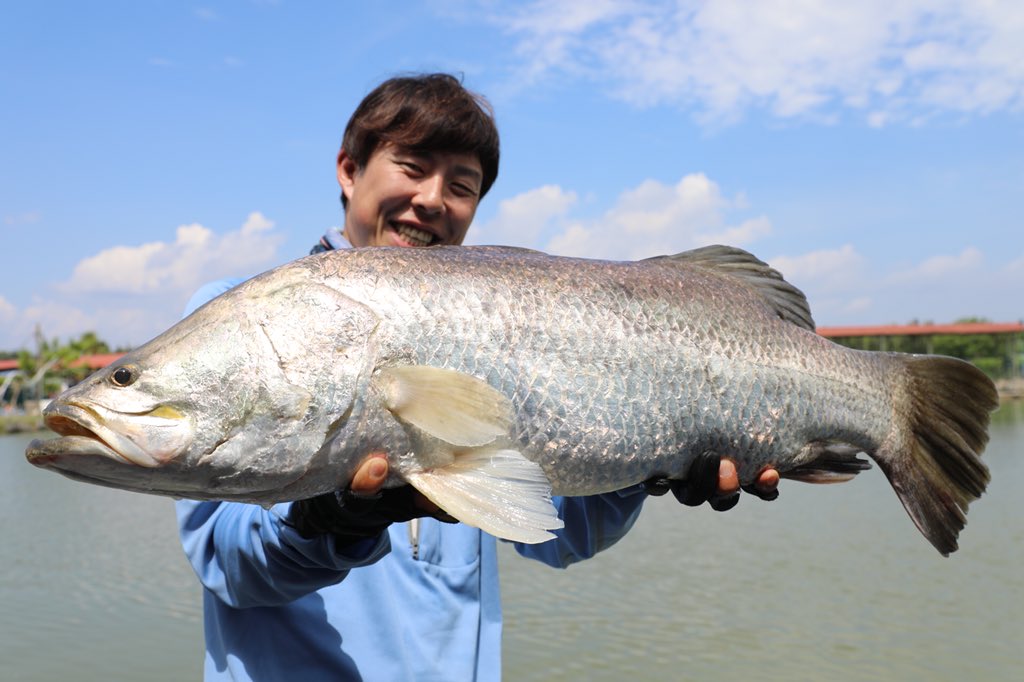 沖山朝俊 しげる ゴライアスグルーパーのポンドですが 凄過ぎたwww 今回は最大80 70kgまでが釣れた エサのアジを投入すると直ぐにヒット クアラルンプールから60kmくらいの所にあるので行く際は是非行ってみたら良いかも 気軽に巨大魚が釣れるよ
