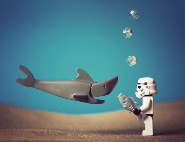 #MayThe4thBeWithYou 
🌊😌🦈