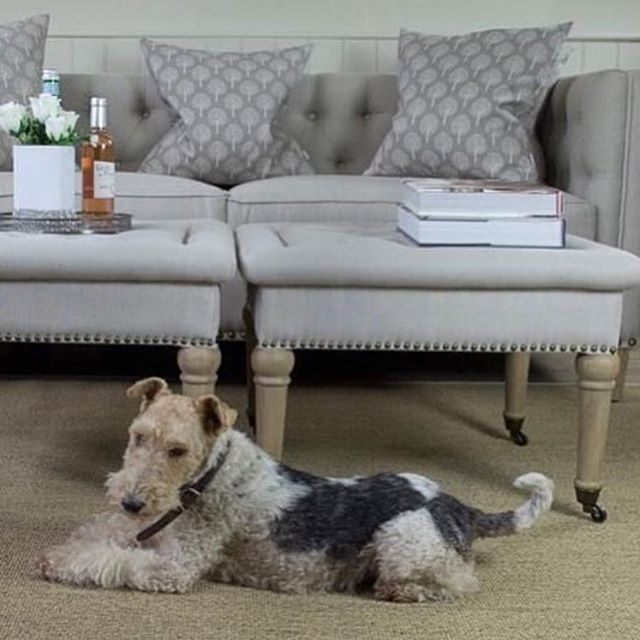 la_residence_In's tweet photo. We’re ready for the long sunny weekend are you ?☀️ We will be open as usual tomorrow from 10am and look forward to welcoming you then ! #laresidenceinteriors #luxuryinteriors #luxuryfurniture #showroom #surrey #westsussex #cranleigh #livelifeinstyle… https://t.co/T5KcLQgkum https://t.co/zn2v19tJpn