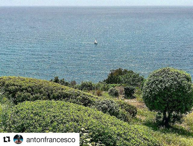 #Repost <a href="/antonfrancesco/">antonfrancesco</a> (<a href="/get_repost/">Repost</a>)
・・・
La bellezza colpisce forte e poi dopo, sei un uomo migliore. ⠀
#monteargentario #calapiccola #torredicalapiccola #trees #ocean #water #outdoors #hiking #lake #tree #scenery #forest #mountain #sunrise #skyporn #naturelover #scenic…