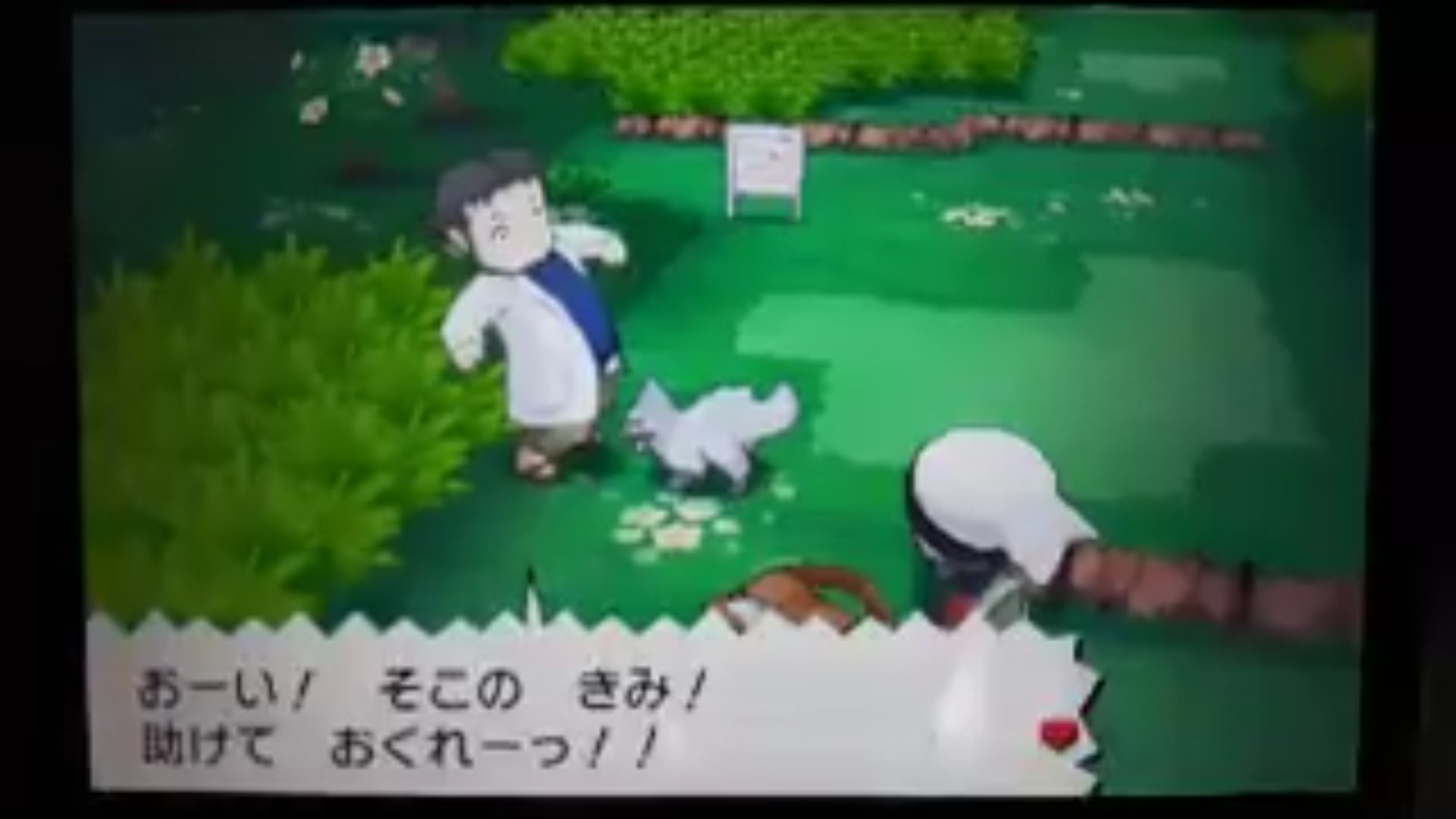 ズルいアイツ 必須バトル1 Pss解禁前 101番道路 103番道路 102番道路 以上 総計3戦 T Co Kltidft86z Twitter