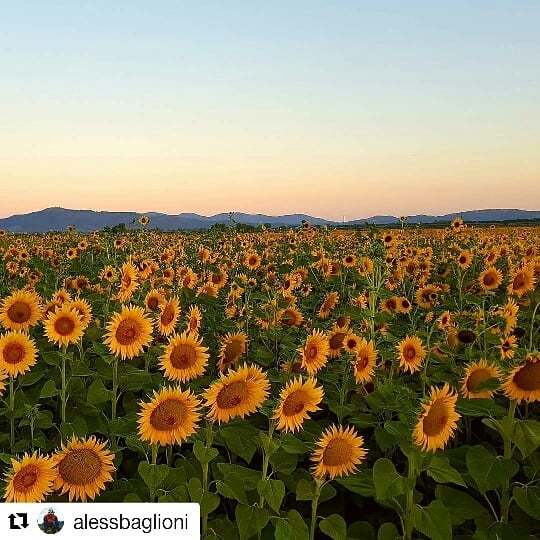 #Repost @alessbaglioni (<a href="/get_repost/">Repost</a>)
・・・