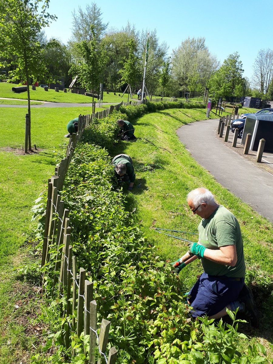 WestgateParks's tweet photo. Here's a game of spot the volunteers!! We are busy enjoying the sunshine and weeding the hedge around Toddler's Cove car park #NationalGardeningWeek @canterburycc https://t.co/CCfVeDNkqh