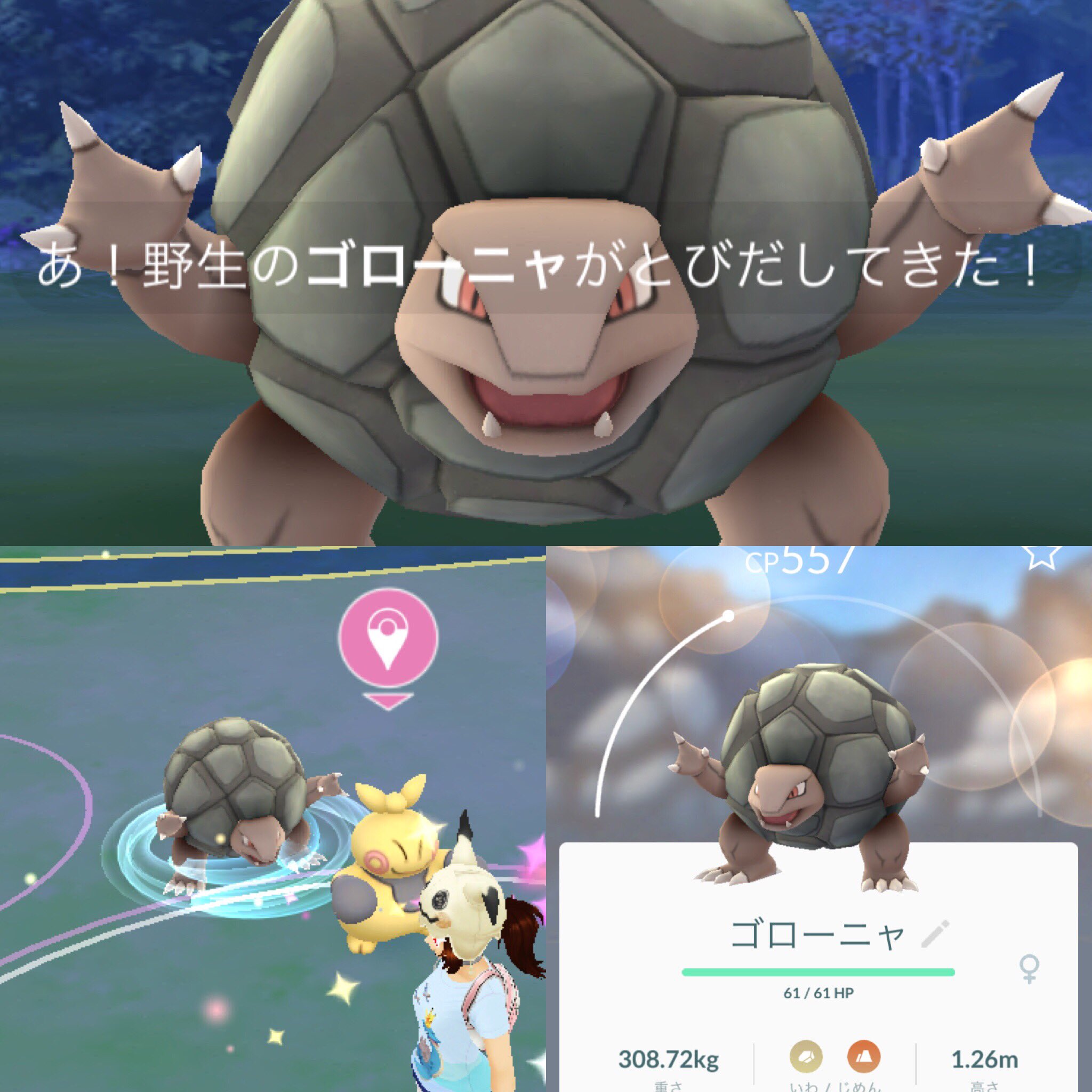 تويتر ひかぴか على تويتر 野生のゴローニャ思い出せないぶり ポケモンgo Pokemongo 野生レアポケモン T Co Cjkul7tsk5
