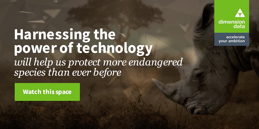 New technologies have helped rangers in one South African reserve reduce #rhino poaching by a colossal 96%.
And this is just the beginning…
