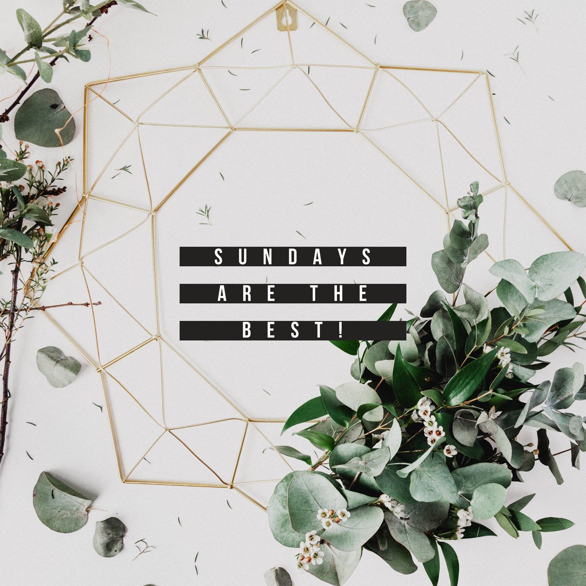 FBC Wichita Falls tweet media