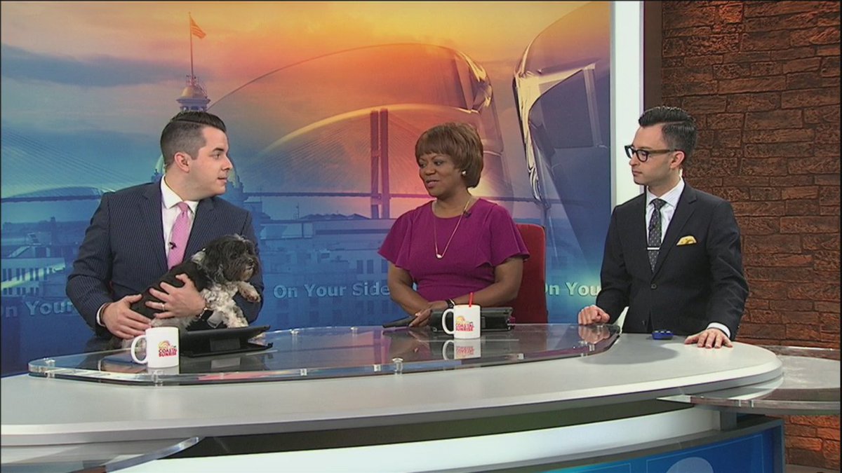 WSAV's tweet photo. Look at that face! We have a lost doggie in the newsroom today. She was found near Jasmine and LaRoche Ave. Email us at breakingnews@wsav.com if you know who she belongs to. #dogonset #lostdog #LiveOnAir #Savannah https://t.co/ed8lklbK2O