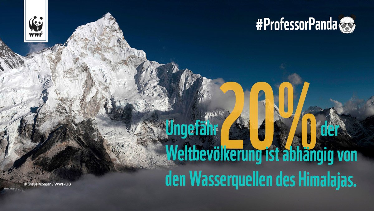 WWF_Deutschland's tweet photo. Der Himalajastaat ist eines der Länder mit dem größten Durchfluss von Frischwasser auf der Welt! #ProfessorPanda https://t.co/04Isfb5s97