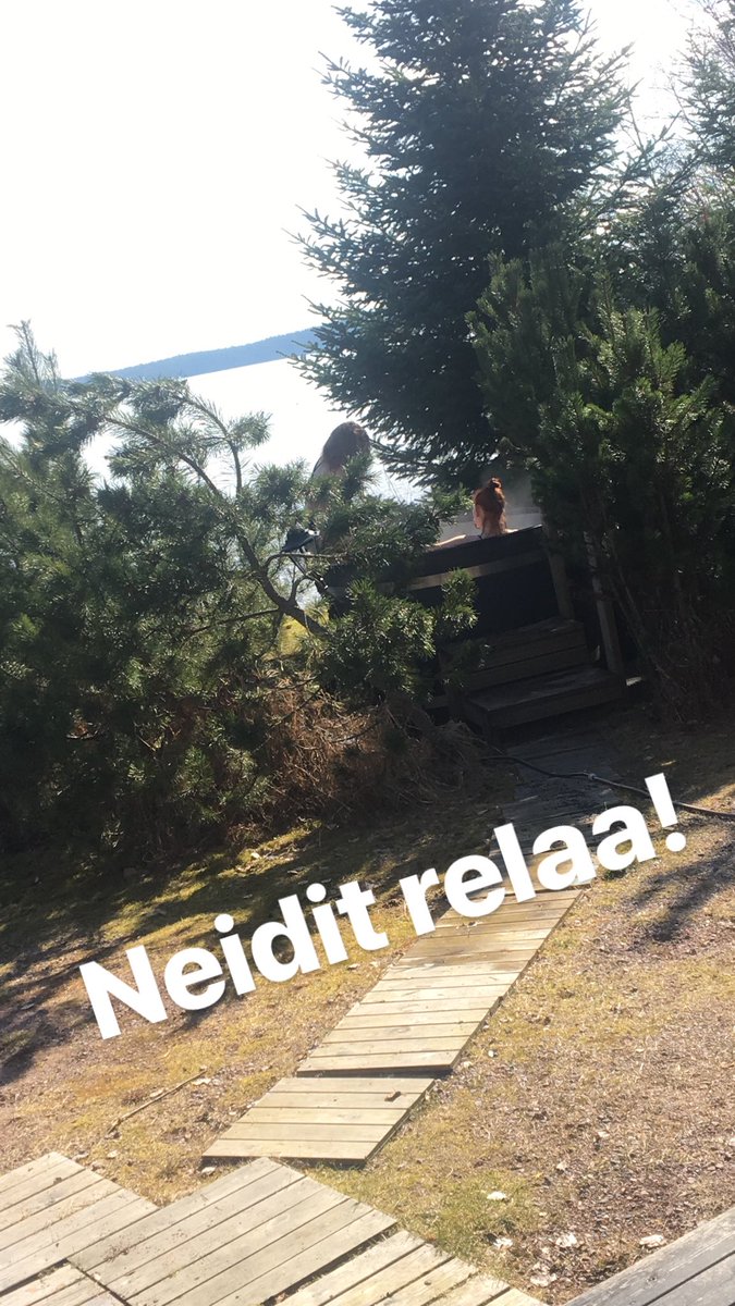 ImmonenTerhi's tweet photo. Otettiin etäisyyttä toimistoon ja vuokrattiin työporukalla kolmeksi päiväksi mökki, jossa tehtiin töitä ja vietettiin aikaa yhdessä rennoissa tunnelmissa ❤️ #työhyvinvointi #bestgroup #lovethisteam #parastiimi #syke #syketribe #healthfactory #startup https://t.co/6DyYmJEIdM