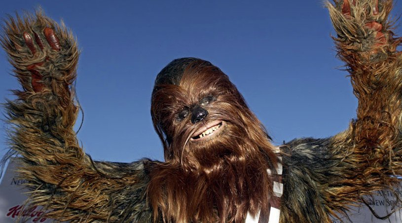 AllergyKidsDoc's tweet photo. There is no such thing as a 'hypoallergenic' cat or dog. Dander causes allergy symptoms and comes from saliva, skin and urine (not fur). 

Interestingly, Wookies ARE hypoallergenic and serve as useful companions. 

Porgs? We need more studies...
#MayThe4thBeWithYou #StarWarsDay https://t.co/H59yylZBtQ