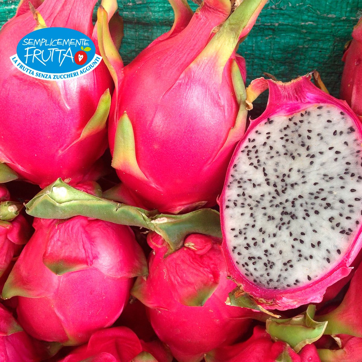 Ha una forma allungata o ovale e una polpa cremosa caratterizzata dall’aroma dolce e delicato, con la quale si prepara una succosa bevanda chiamata “agua de pitaya”. 
La nostra #pitaya, mantiene la perfezione della natura, senza zuccheri aggiunti. #SemplicementeFrutta