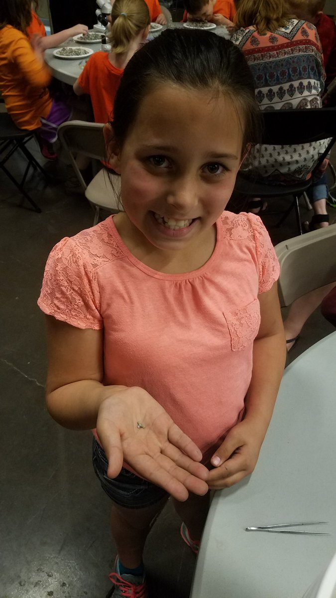 mrs_slamduncan's tweet photo. We had a ROCK-in time at the Gray Fossil Site! π These students loved getting to find their own fossils and teeth from different animals! #MiniPaleontologists https://t.co/sQ6yu8d1Ej