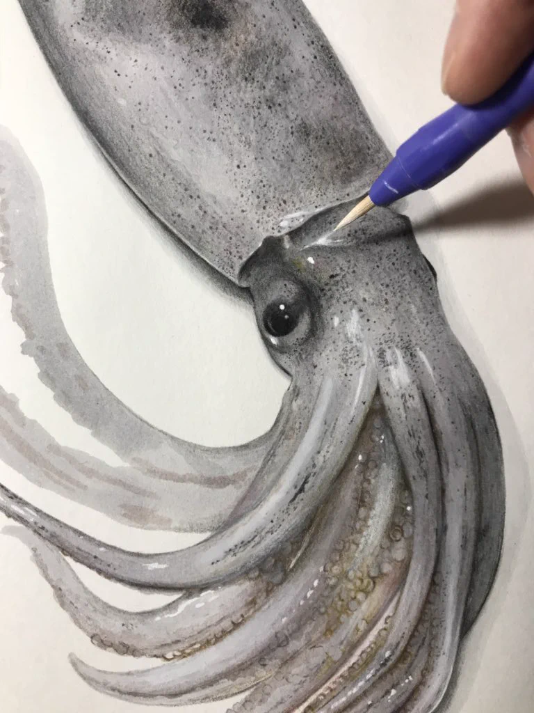 いやもう本物過ぎて辛いｗイカの質感がかっこよすぎてイラストに見えないｗ