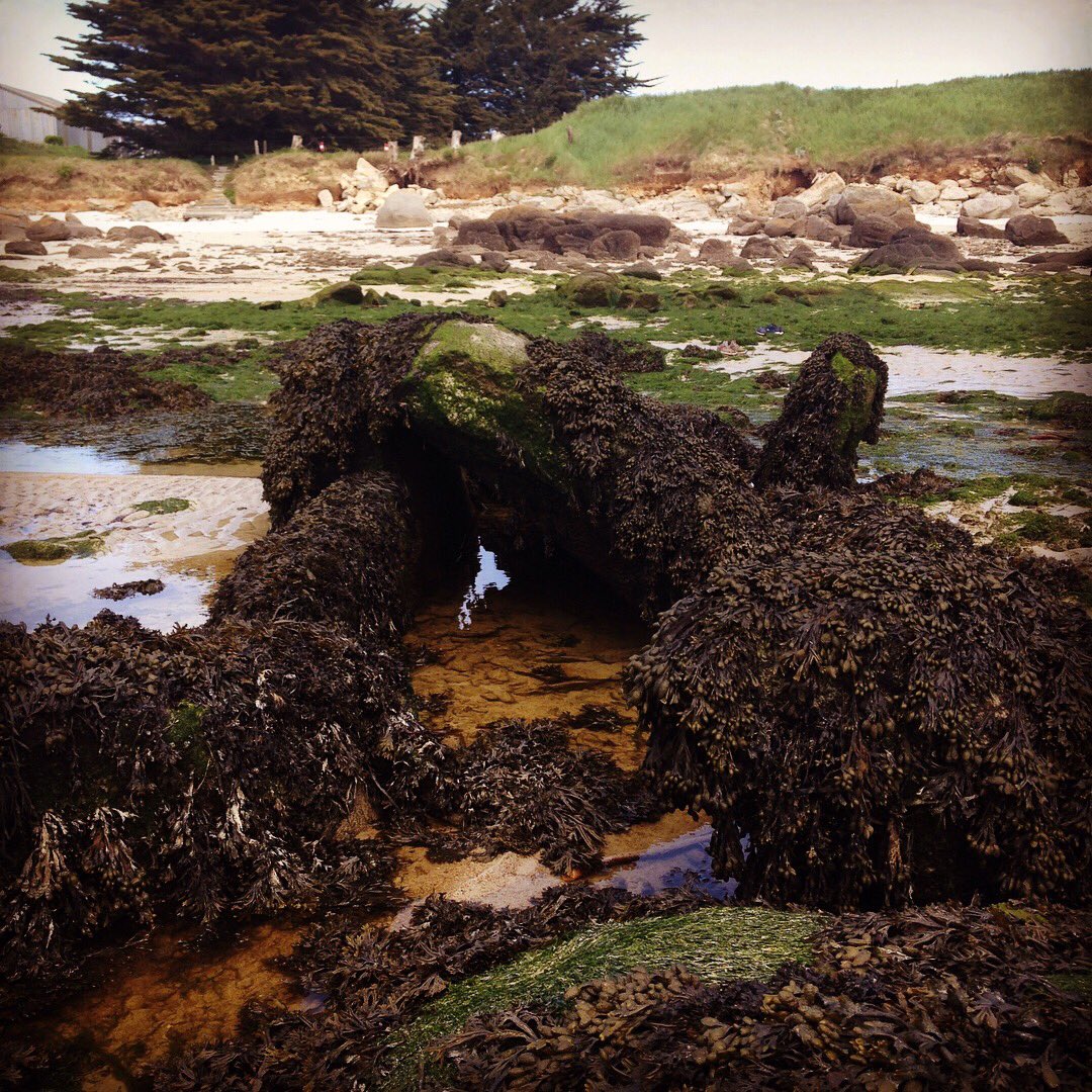 AlertArcheo's tweet photo. Allée couverte du Lerret à #kerlouan dans le #finistère https://t.co/SzLwkxNwPr
