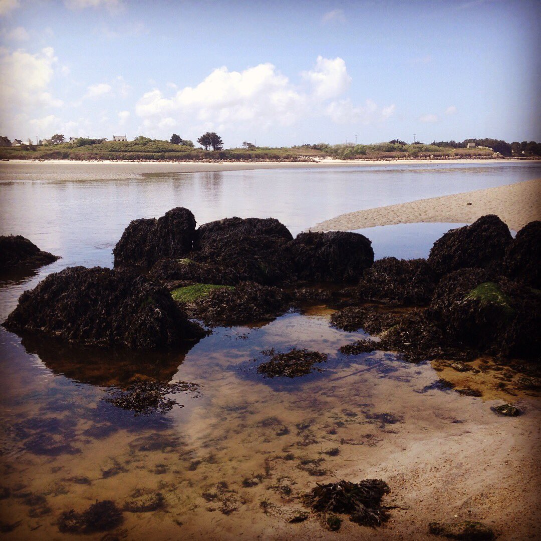 AlertArcheo's tweet photo. Allée couverte du Lerret à #kerlouan dans le #finistère https://t.co/SzLwkxNwPr